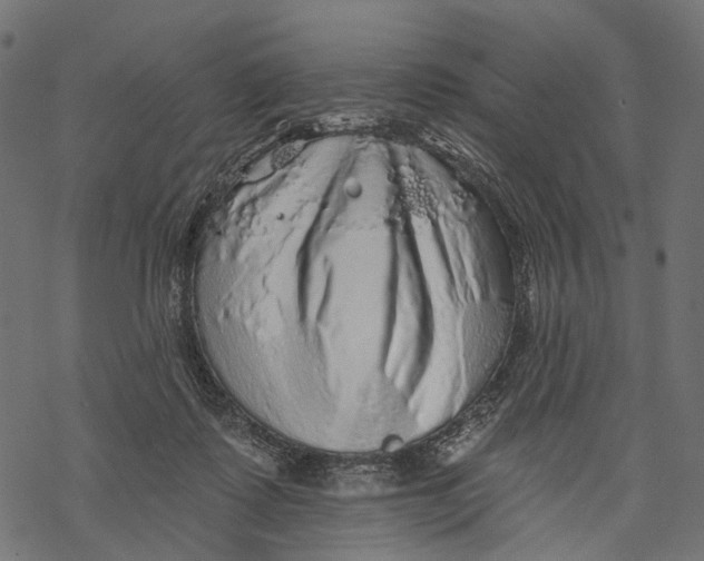 X0000067900315200605041624