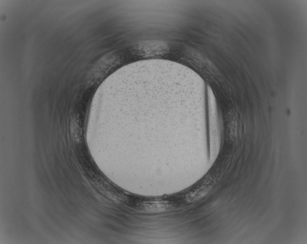 X0000067900316200605041624