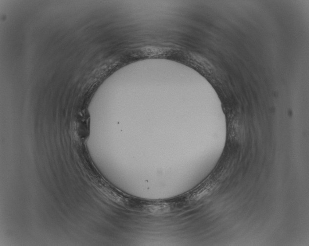 X0000067900317200605041624