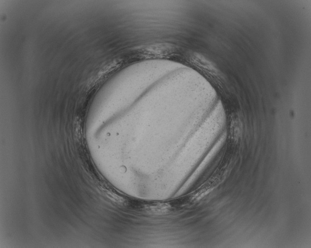 X0000067900318200605041624