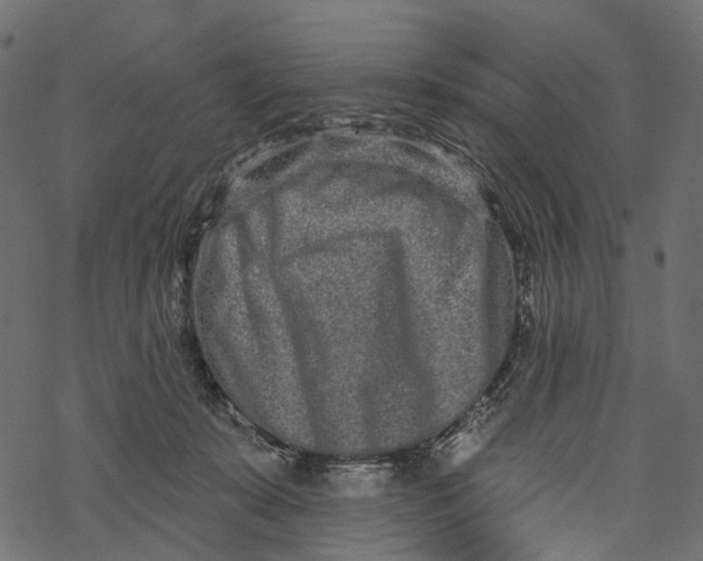 X0000067900319200605041624