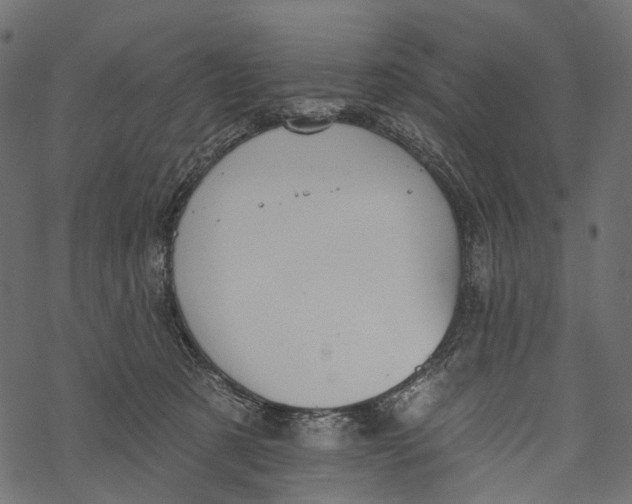 X0000067900321200605041624