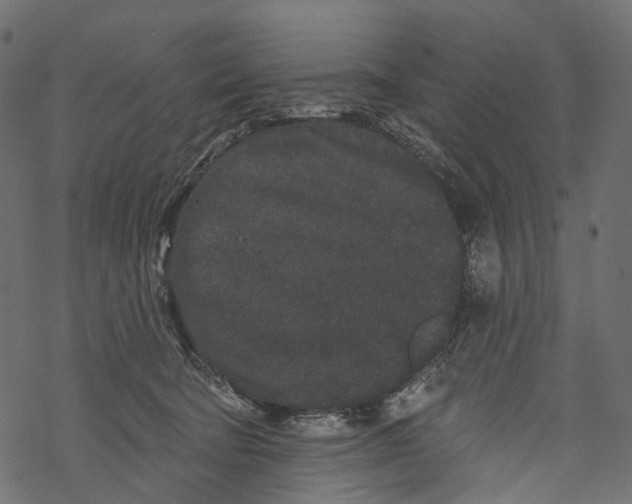 X0000067900322200605041624