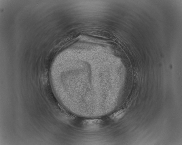 X0000067900323200605041624