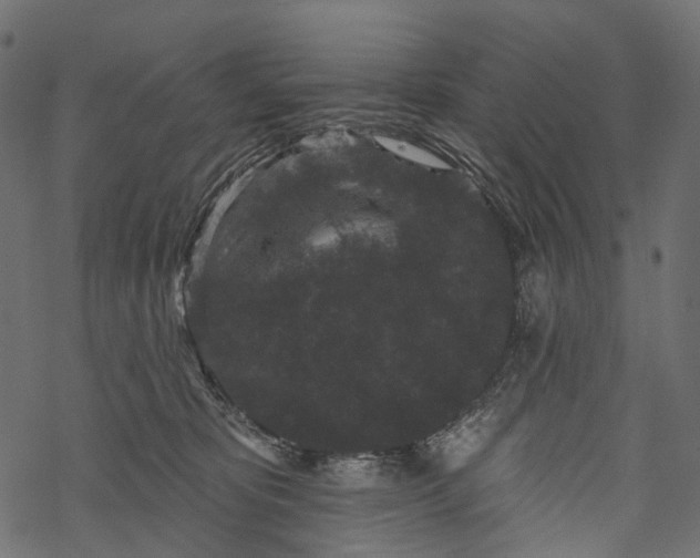 X0000067900325200605041624