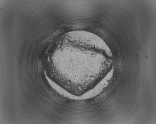 X0000067900327200605041624