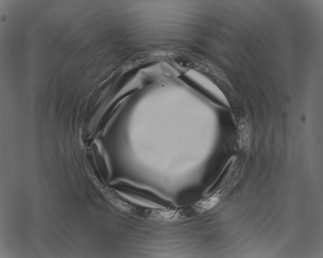 X0000067900329200605041624