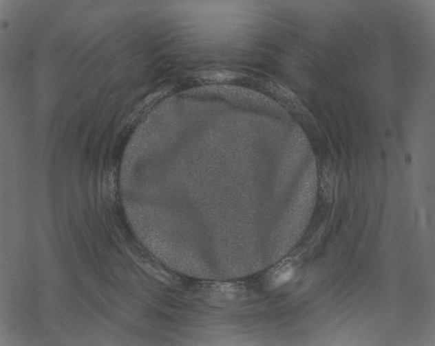 X0000067900330200605041624