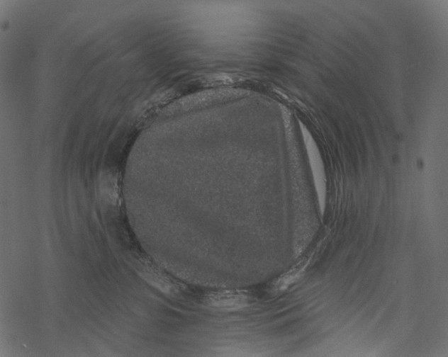 X0000067900331200605041624