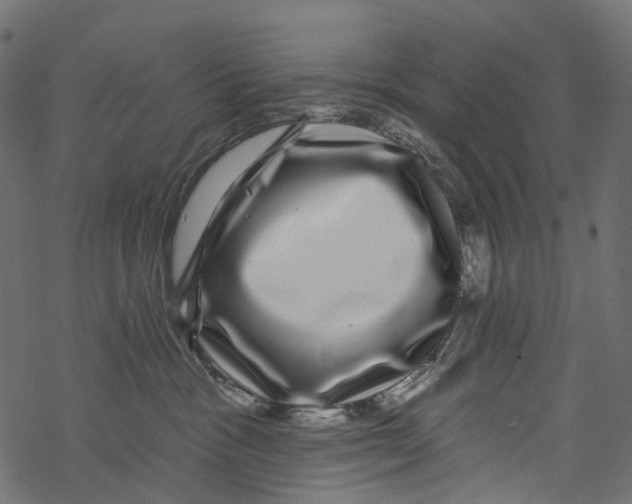 X0000067900333200605041624