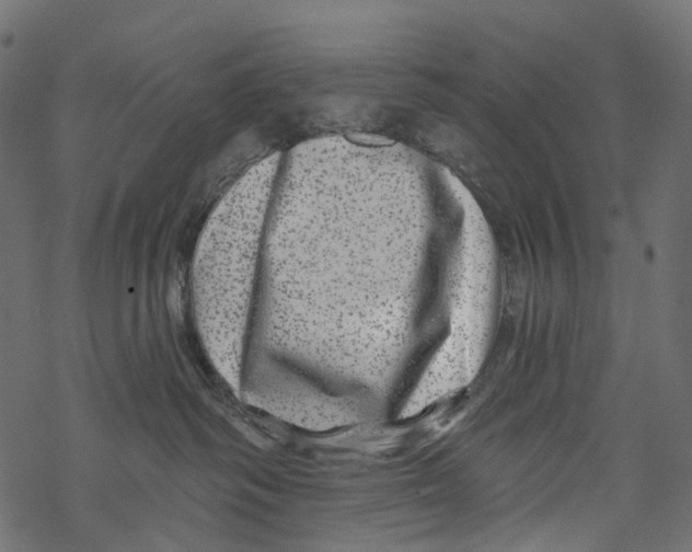 X0000067900334200605041624