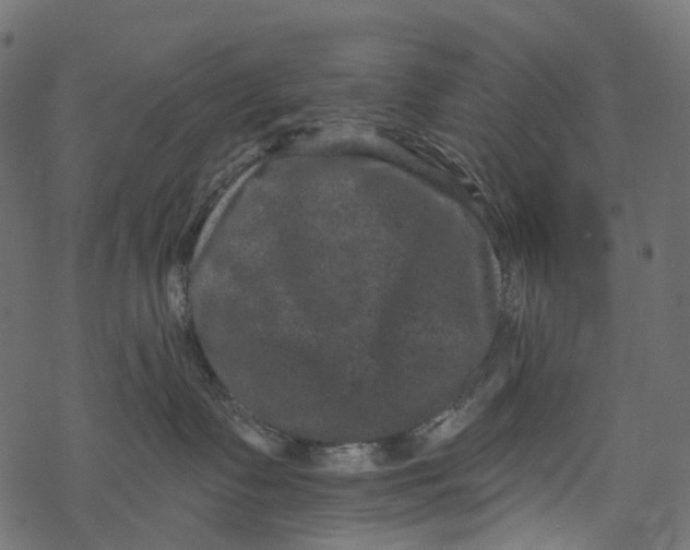 X0000067900335200605041624