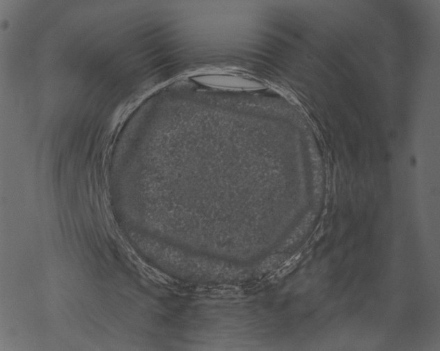 X0000067900337200605041623