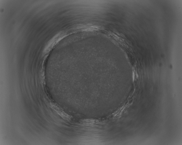 X0000067900339200605041623