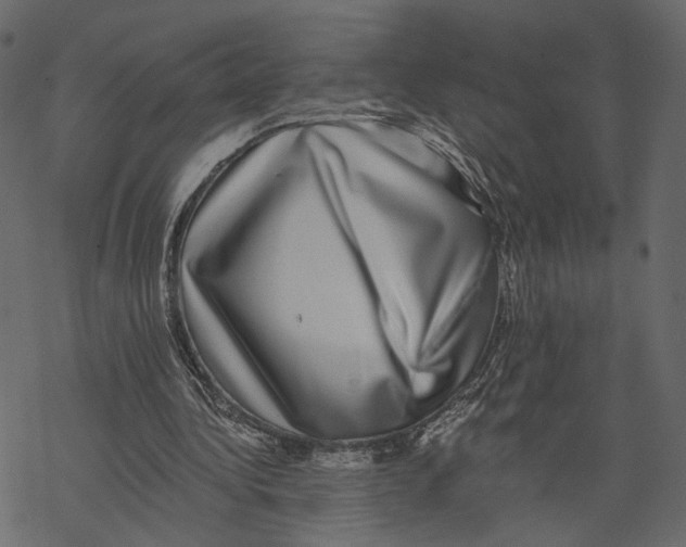 X0000067900340200605041623