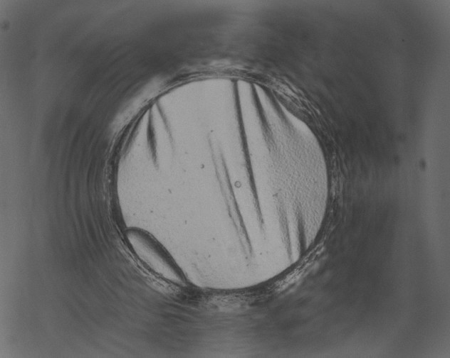 X0000067900341200605041623