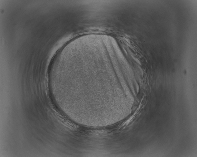 X0000067900342200605041623