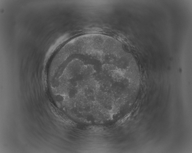 X0000067900343200605041623