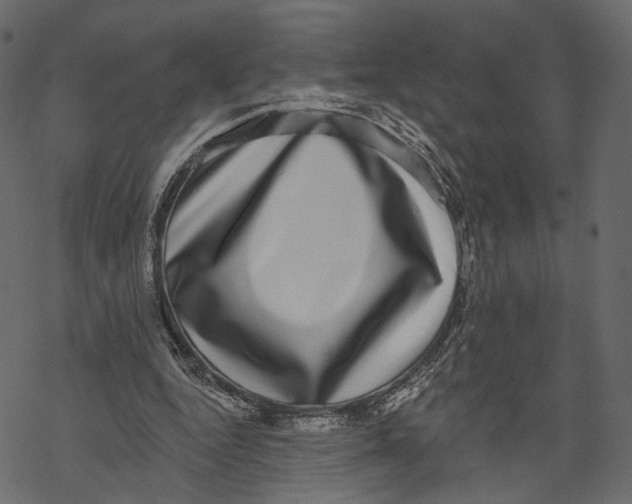 X0000067900344200605041623