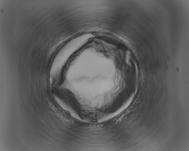 X0000067900345200605041623