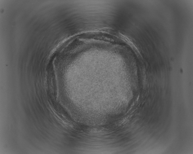 X0000067900346200605041623