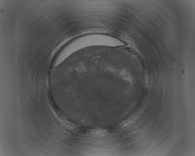 X0000067900348200605041623