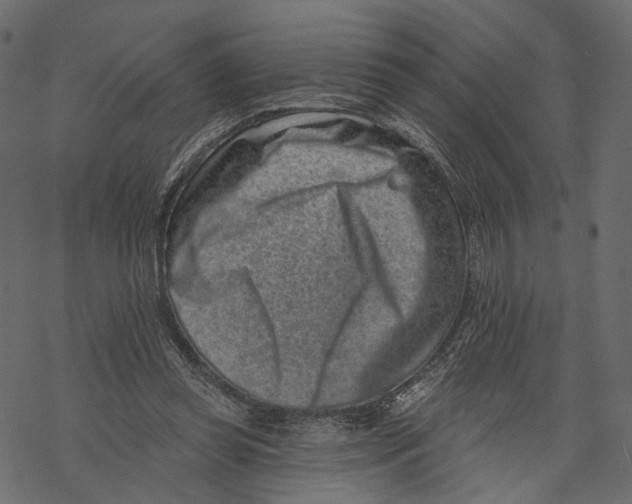 X0000067900349200605041623