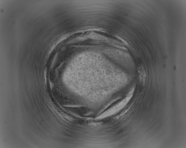 X0000067900350200605041623