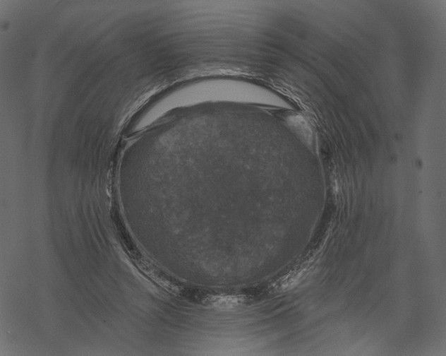 X0000067900352200605041623