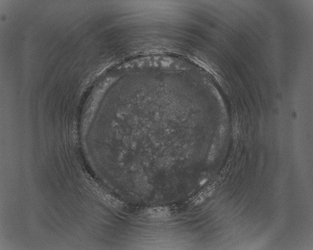 X0000067900353200605041624