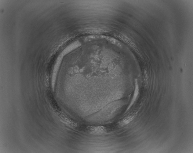 X0000067900355200605041624