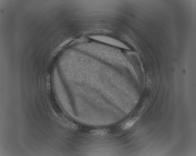 X0000067900356200605041624