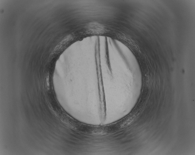 X0000067900358200605041624