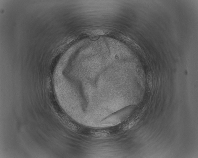 X0000067900359200605041624