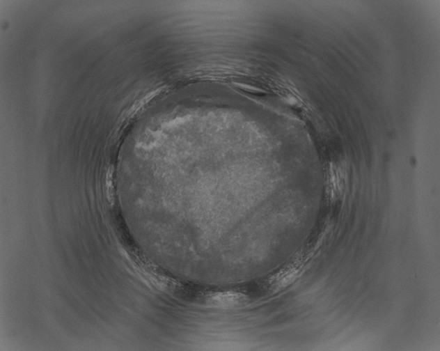 X0000067900360200605041624