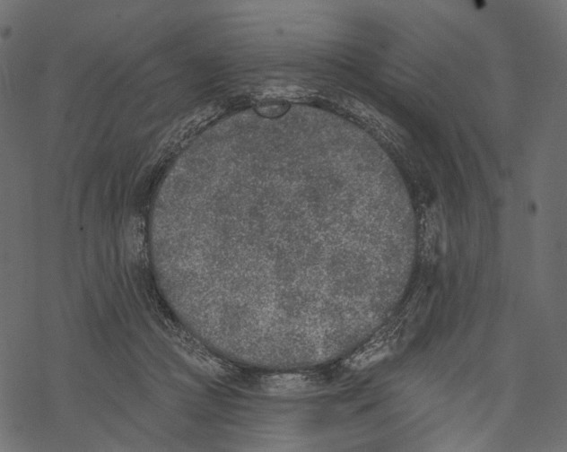 X0000067900361200605041624