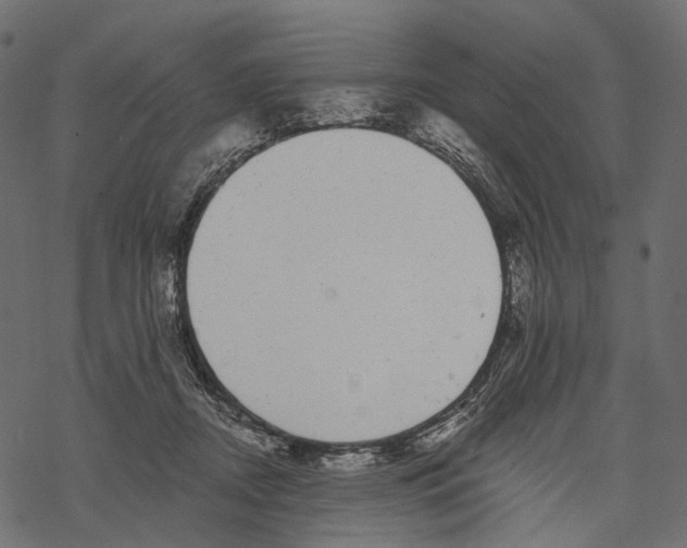 X0000067900362200605041624