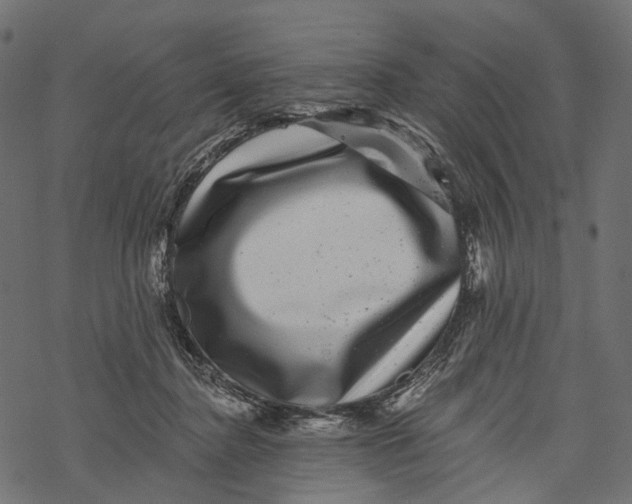 X0000067900364200605041624