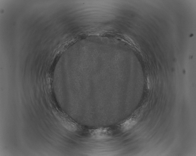 X0000067900366200605041624