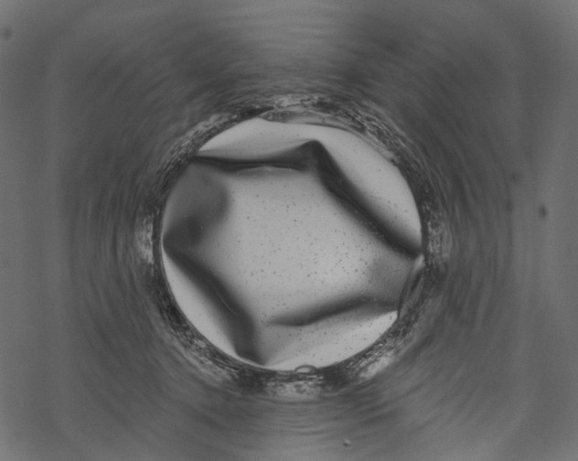 X0000067900368200605041624