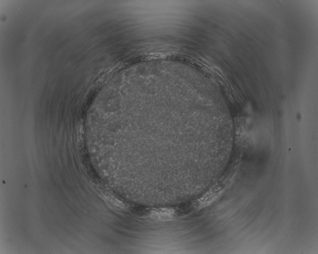 X0000067900369200605041624