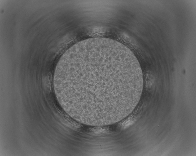 X0000067900370200605041624