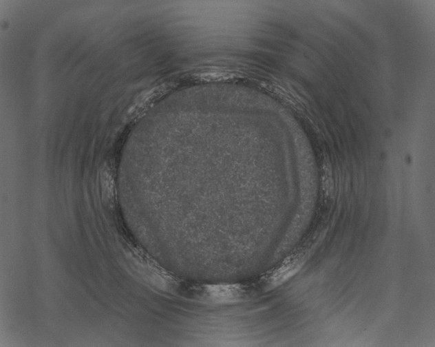 X0000067900371200605041624