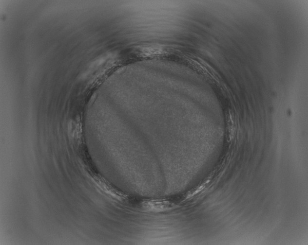 X0000067900372200605041624