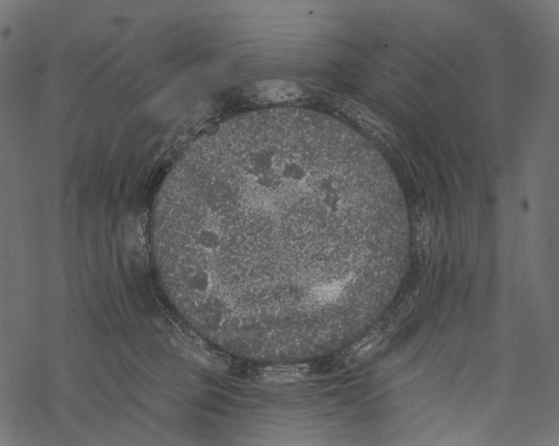 X0000067900373200605041624