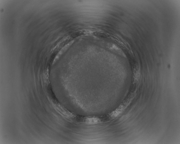 X0000067900376200605041624