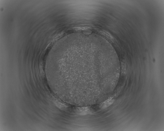 X0000067900377200605041624