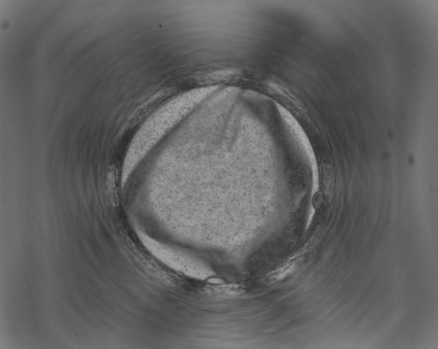 X0000067900378200605041624