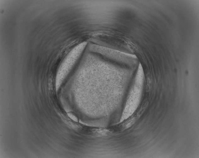 X0000067900379200605041624