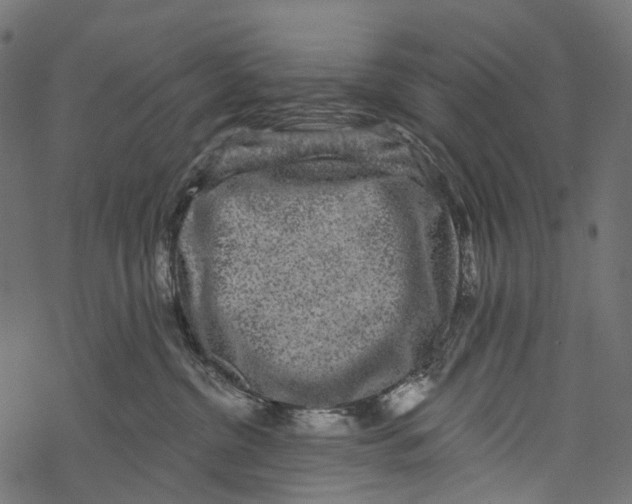 X0000067900380200605041624